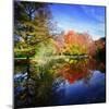 Hallucination Fall-Philippe Sainte-Laudy-Mounted Photographic Print