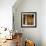 Hallway of an Abandoned Building in Butte, Montana-James White-Framed Photographic Print displayed on a wall