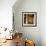 Hallway of an Abandoned Building in Butte, Montana-James White-Framed Photographic Print displayed on a wall