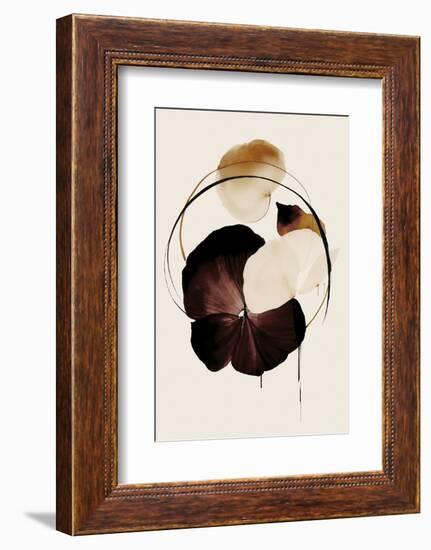 Halo Flowers No 10-Treechild-Framed Photographic Print