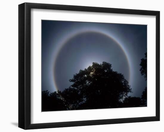 Halo Over the Treetop-null-Framed Photographic Print