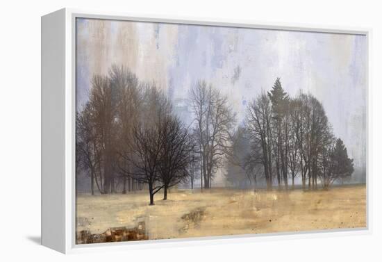 Halo-Andrew Michaels-Framed Stretched Canvas