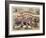 Halstead and Co. Beef and Pork Packers, Lard Refiners and Co.-null-Framed Giclee Print