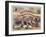 Halstead and Co. Beef and Pork Packers, Lard Refiners and Co.-null-Framed Giclee Print