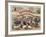 Halstead and Co. Beef and Pork Packers, Lard Refiners and Co.-null-Framed Giclee Print