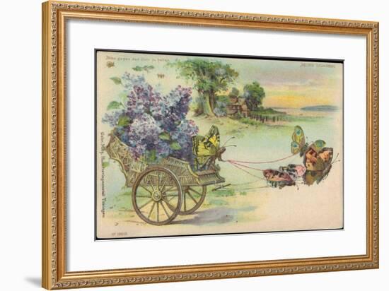 Haltgegendaslicht Litho Schmetterlinge, Blumenwagen, Kitsch, Meteor Drgm 88690-null-Framed Giclee Print