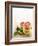 Halved Grapefruits and Limes-Louise Lister-Framed Photographic Print