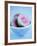 Halved Guavas in Bowl-Valerie Martin-Framed Photographic Print