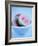 Halved Guavas in Bowl-Valerie Martin-Framed Photographic Print