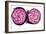 Halved Red Cabbage-Dr. Keith Wheeler-Framed Photographic Print