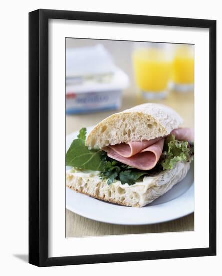 Ham Sandwich-Veronique Leplat-Framed Photographic Print