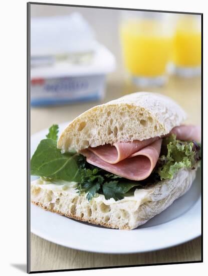 Ham Sandwich-Veronique Leplat-Mounted Photographic Print
