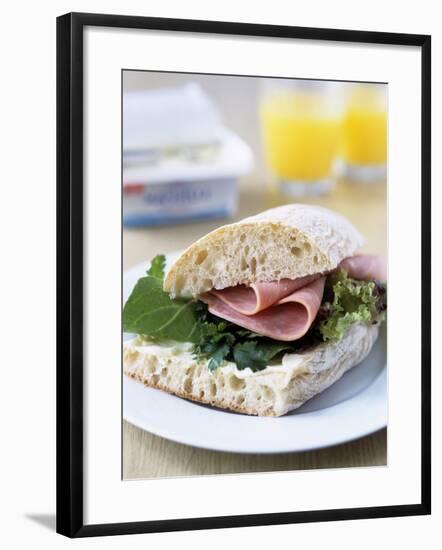 Ham Sandwich-Veronique Leplat-Framed Photographic Print