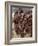 Hamar Women Dance, Sing and Blow Tin Trumpets in 'Jumping of Bull' Ceremony, Omo Delta, Ethiopia-Nigel Pavitt-Framed Photographic Print