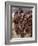 Hamar Women Dance, Sing and Blow Tin Trumpets in 'Jumping of Bull' Ceremony, Omo Delta, Ethiopia-Nigel Pavitt-Framed Photographic Print