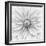 Hamari gold in monochrome-Lotte Gronkjar-Framed Photographic Print