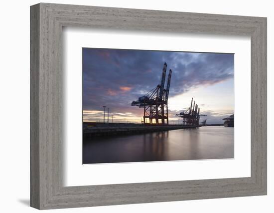 Hamburg, Container Terminal, Harbour Cranes-Catharina Lux-Framed Photographic Print