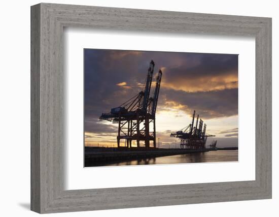 Hamburg, Container Terminal, Harbour Cranes-Catharina Lux-Framed Photographic Print