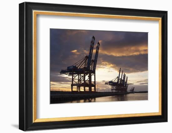 Hamburg, Container Terminal, Harbour Cranes-Catharina Lux-Framed Photographic Print