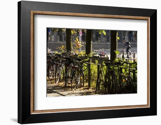 Hamburg, Fair Halls, Bicycles-Catharina Lux-Framed Photographic Print