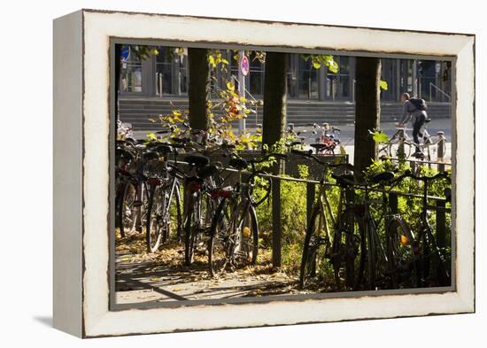 Hamburg, Fair Halls, Bicycles-Catharina Lux-Framed Premier Image Canvas