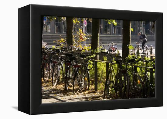 Hamburg, Fair Halls, Bicycles-Catharina Lux-Framed Premier Image Canvas