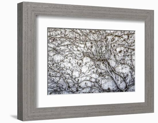 Hamburg, Germany-Art Wolfe-Framed Photographic Print