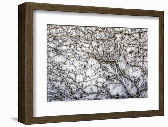 Hamburg, Germany-Art Wolfe-Framed Photographic Print