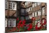Hamburg, Neanderstrasse, Half-Timbered Houses, Facades, Flowers-Catharina Lux-Mounted Photographic Print