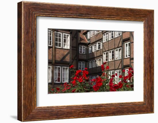 Hamburg, Neanderstrasse, Half-Timbered Houses, Facades, Flowers-Catharina Lux-Framed Photographic Print