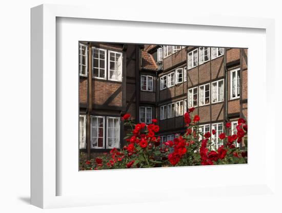 Hamburg, Neanderstrasse, Half-Timbered Houses, Facades, Flowers-Catharina Lux-Framed Photographic Print