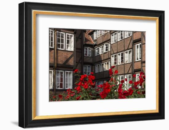 Hamburg, Neanderstrasse, Half-Timbered Houses, Facades, Flowers-Catharina Lux-Framed Photographic Print