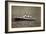 Hamburger Hafen, HSDG, Dampfschiff Cap Arcona-null-Framed Giclee Print