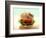 Hamburger-ATU Studios-Framed Photographic Print