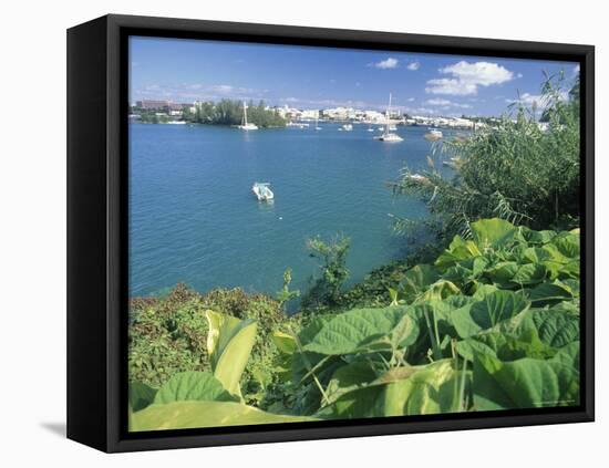 Hamilton Harbor with Greenery-Robin Hill-Framed Premier Image Canvas