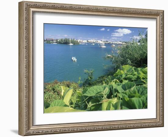 Hamilton Harbor with Greenery-Robin Hill-Framed Photographic Print