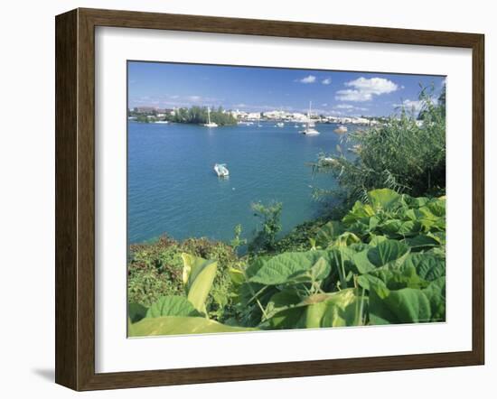 Hamilton Harbor with Greenery-Robin Hill-Framed Photographic Print