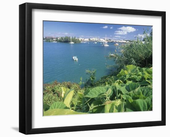 Hamilton Harbor with Greenery-Robin Hill-Framed Photographic Print