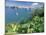 Hamilton Harbor with Greenery-Robin Hill-Mounted Photographic Print