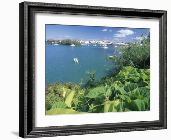 Hamilton Harbor with Greenery-Robin Hill-Framed Photographic Print