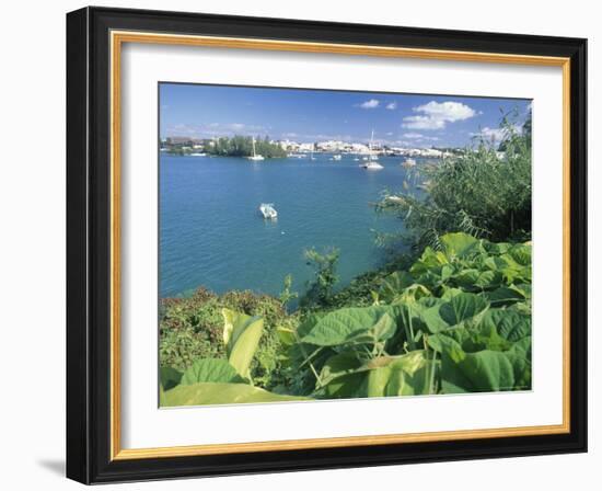 Hamilton Harbor with Greenery-Robin Hill-Framed Photographic Print