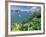 Hamilton Harbor with Greenery-Robin Hill-Framed Photographic Print