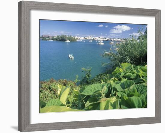 Hamilton Harbor with Greenery-Robin Hill-Framed Photographic Print
