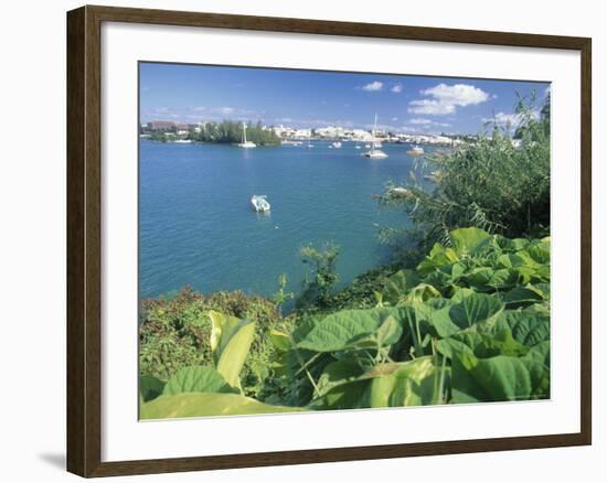 Hamilton Harbor with Greenery-Robin Hill-Framed Photographic Print