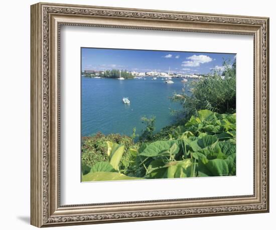 Hamilton Harbor with Greenery-Robin Hill-Framed Premium Photographic Print