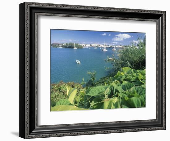 Hamilton Harbor with Greenery-Robin Hill-Framed Premium Photographic Print