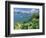 Hamilton Harbor with Greenery-Robin Hill-Framed Premium Photographic Print