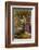 Hamlet, Act IV Scene I: Ophelia Gathers Flowers by the Stream-Joseph Kronheim-Framed Photographic Print