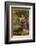 Hamlet, Act IV Scene I: Ophelia Gathers Flowers by the Stream-Joseph Kronheim-Framed Photographic Print