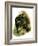 Hamlet holds the skull of the jester Yorick-Harold Copping-Framed Giclee Print